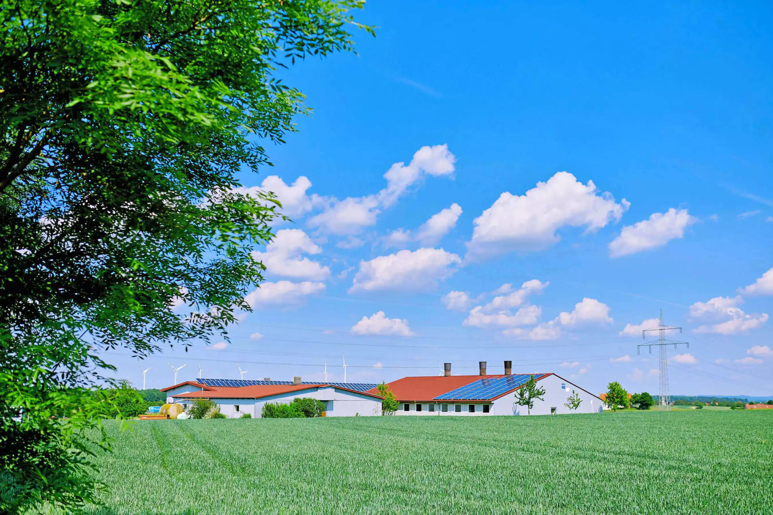 Familie Plank mit Duroc Ferkeln